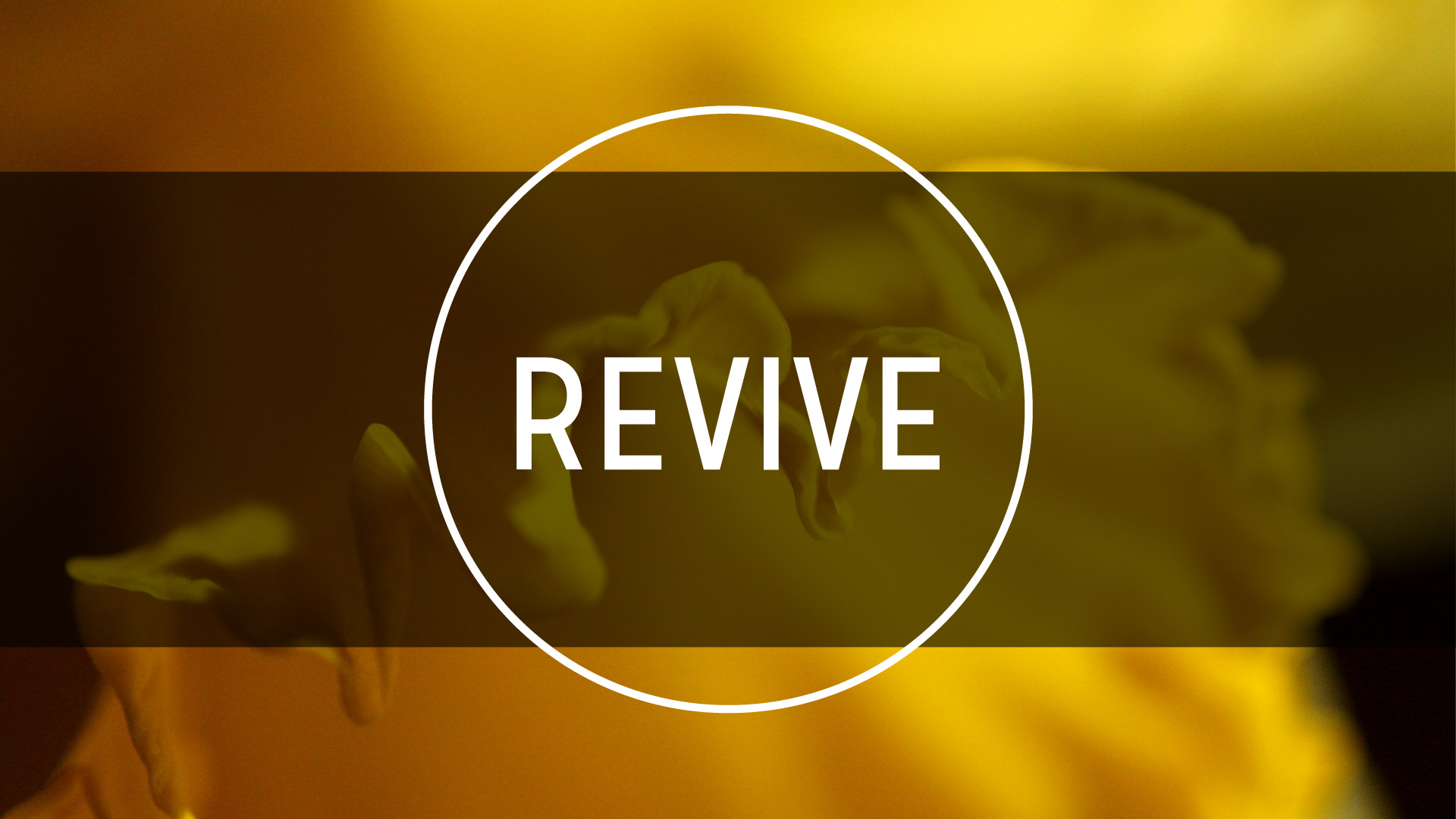 revive-conference-the-chapel